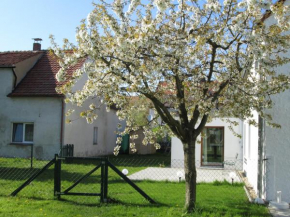 Pfeiffer´s Ferienwohnung